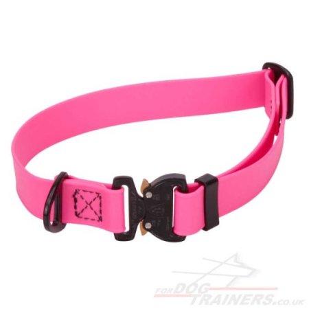 1 Inch Cobra Buckle Dog Collar Biothane