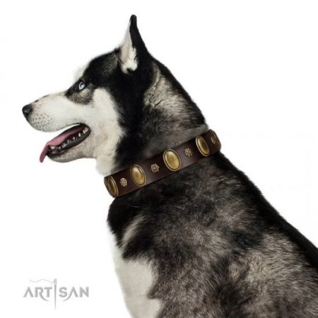 "Bronze Idol" Durable Chocolate Brown Leather Dog Collar FDT Artisan