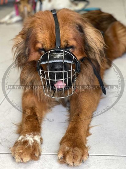 Caucasian Shepherd Muzzle UK | Wire Basket Dog Muzzle