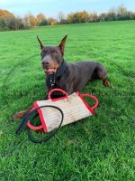 Jute Dog Bite Pad With 3 Handles UK Most Popular_2