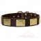 Large Strong Dog Collar With Vintage Massive Brass Plates