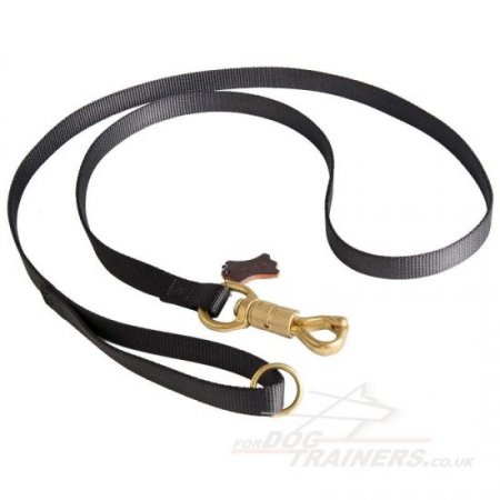 Extra Strong Heavy Duty Nylon Dog Leash with Elaborated Brass Snap