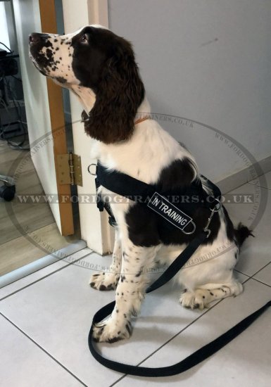K9 Dog Harness No Pull Front Clip to Stop Dog Pulling on Lead