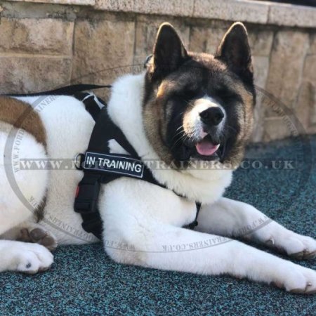 K9 Dog Harness No Pull Front Clip to Stop Dog Pulling on Lead