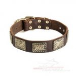 Luxurious Comfort Brass Studded Leather Dog Collar