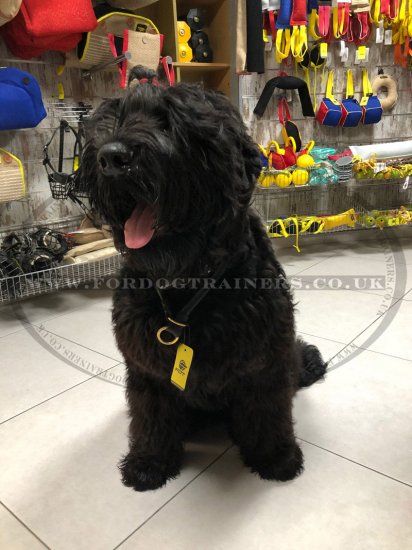 Soft Round Leather Dog Collar Choker for Dog Training