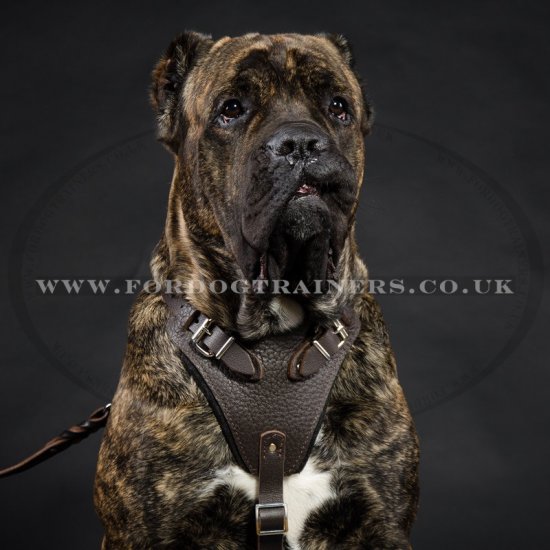 Extra Large Strong Dog Harness K9 for Big Dogs K9 Brown Leather