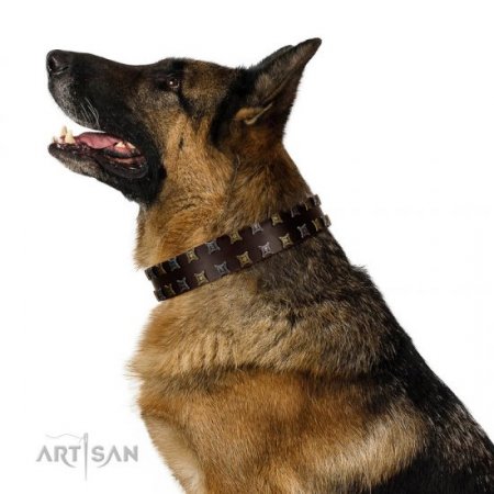 "Fido’s Pleasure" Fantastic Brown Leather Dog Collar With Studs FDT Artisan