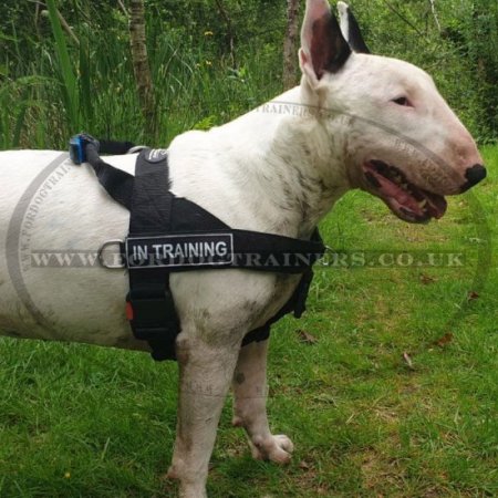 K9 Dog Harness No Pull Front Clip to Stop Dog Pulling on Lead