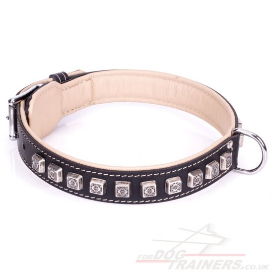 Elegant Leather Dog Collar