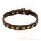 Leather Dog Collars for Small Dogs | Small Dog Collars UK