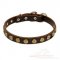 Leather Dog Collars for Small Dogs | Small Dog Collars UK