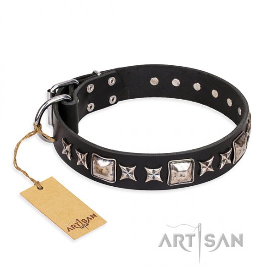 Unusual Dog Collar with Square Studs & Stars Space Walk Artisan