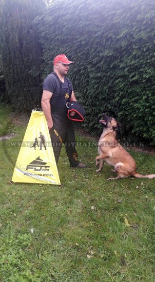 IGP Dog Training Blind Mini-Size