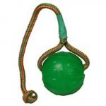 Dog Chew Toy on String 3.5" for Interactive Dog Games
