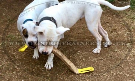 Jute Tugs for Large Dog Training | Bite Tug for Dog