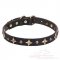 Awesome Studded Dog Collar "Milky Way", 1 inch (25 mm)