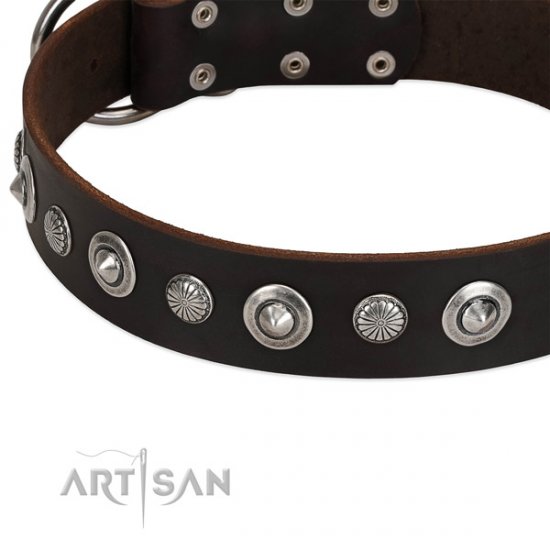 Brown Studded Dog Collar "Dark Chocolate" FDT Artisan