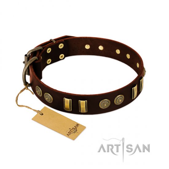 Handmade Leather Dog Collar "Golden Elegance" FDT Artisan