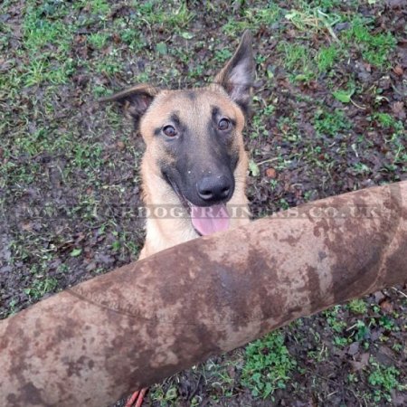 Dog bite tug made of leather 23 inch with 2 handles, UK