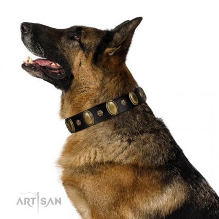 "Gilded Stones" Functional Black Real Leather Dog Collar FDT Artisan