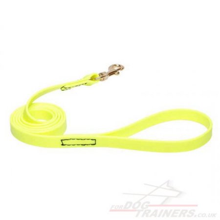 Modern Neon Yellow Dog Leash Biothane