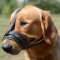 Soft Dog Muzzle for Golden Retriever | Golden Retriever Muzzle