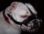 Bestseller Dog Muzzle Wire Basket for Bulldog Short Snout_1
