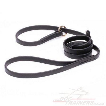 Black Biothane Dog Leash and Collar Combined Set for Medium and Large Dogs