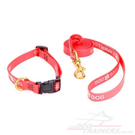 Red Dog Collar and Leash Set in Biothane