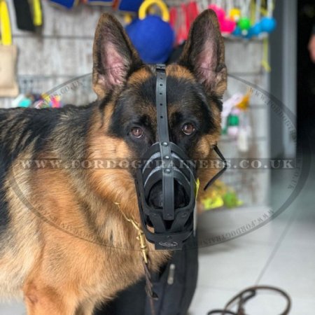 Leather German Shepherd Muzzle Size UK Bestseller