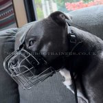 Large Wire Dog Muzzle for Big Dog Breeds UK Bestseller_2