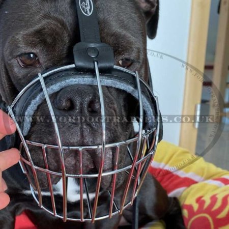 Bestseller Dog Muzzle Wire Basket for Bulldog Short Snout