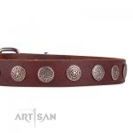 Dark Brown Leather Dog Collar | Exclusive Dog Collar UK FDT Artisan_2