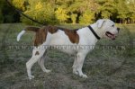 Effective Choke Collar For Bulldogs Braided Design "Rattlesnake"_1