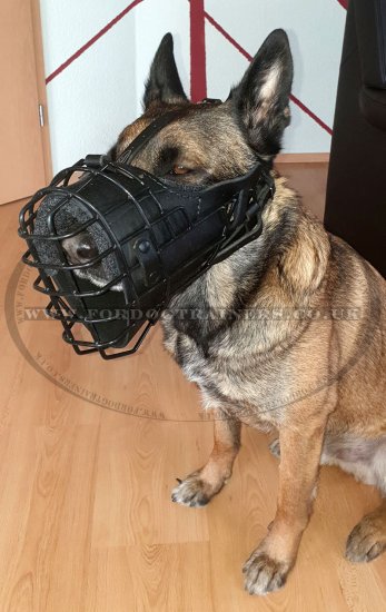 Pro K9 Dog Training Muzzle Rubberized, Leather Padded Dog Muzzle