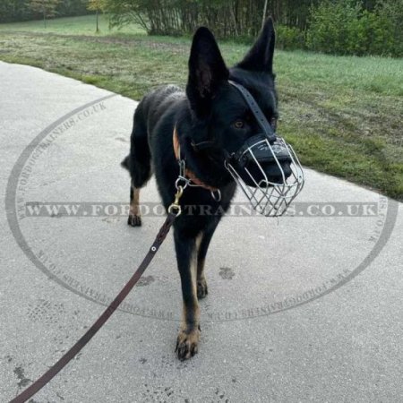 Best Dog Leash for German Shepherd German Shepherd Leather Leash 29.99