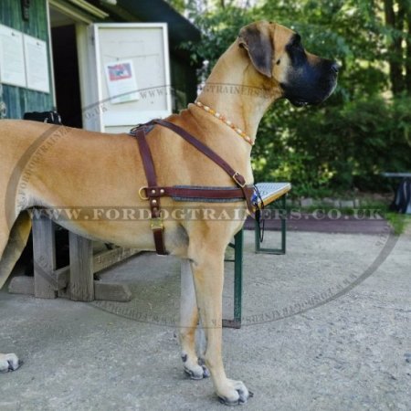 Weight Pulling, Tracking Dog Leather Harness UK