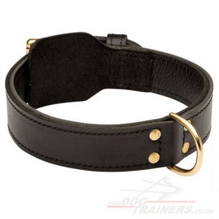 2 Ply Leather Agitation Dog Collar for Staffy UK Bestseller