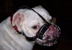 Bestseller Dog Muzzle Wire Basket for Bulldog Short Snout