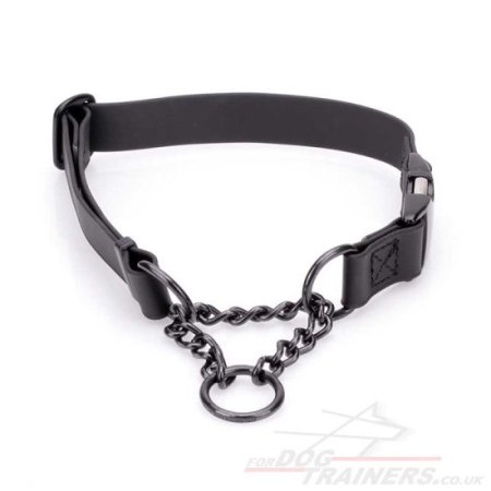 The Best Martingale Collar with Buckle and Chain for Dog Obedience