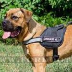 Cane Corso Mastiff Dog Harness with Patches and Reflexive Strap