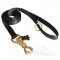 Extra Strong Heavy Duty Nylon Dog Leash with Elaborated Brass Snap