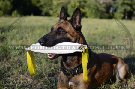 Dog Training Bite Tug of Fire Hose With Two Handles