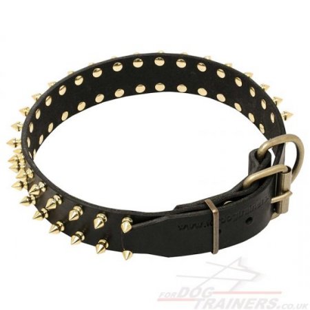 Genuine Leather Gold Spiked Dog Collar for Siberian Husky