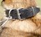 Dog Collars Leather for Malinois | Spiked Dog Collars UK