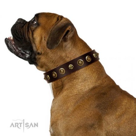 "Street Fashion" Extra Durable Brown Leather Dog Collar FDT Artisan