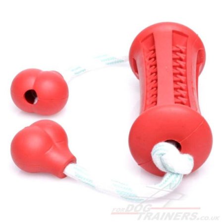 Red Dental Care Dog Toy Bone with Handles Mint Flavoured