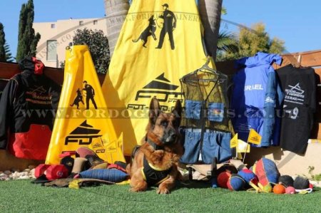 Dog Training Blind for IGP | New Blind for Helper