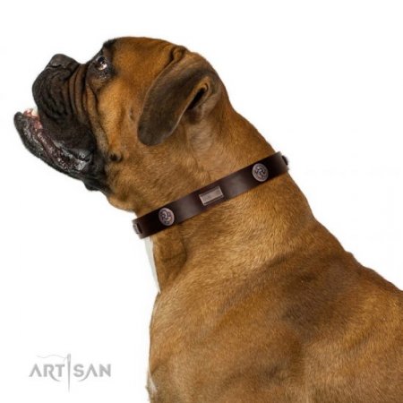 Studded Chocolate Brown Leather Dog Collar For Active Walking
